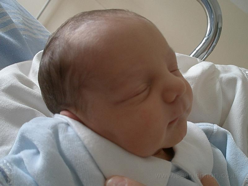 Loris Lennon (16-12-09) 014.jpg - OLYMPUS DIGITAL CAMERA         